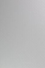 White Galaxy Shower Panel