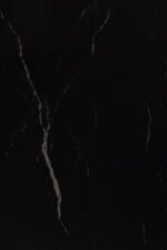 MS011