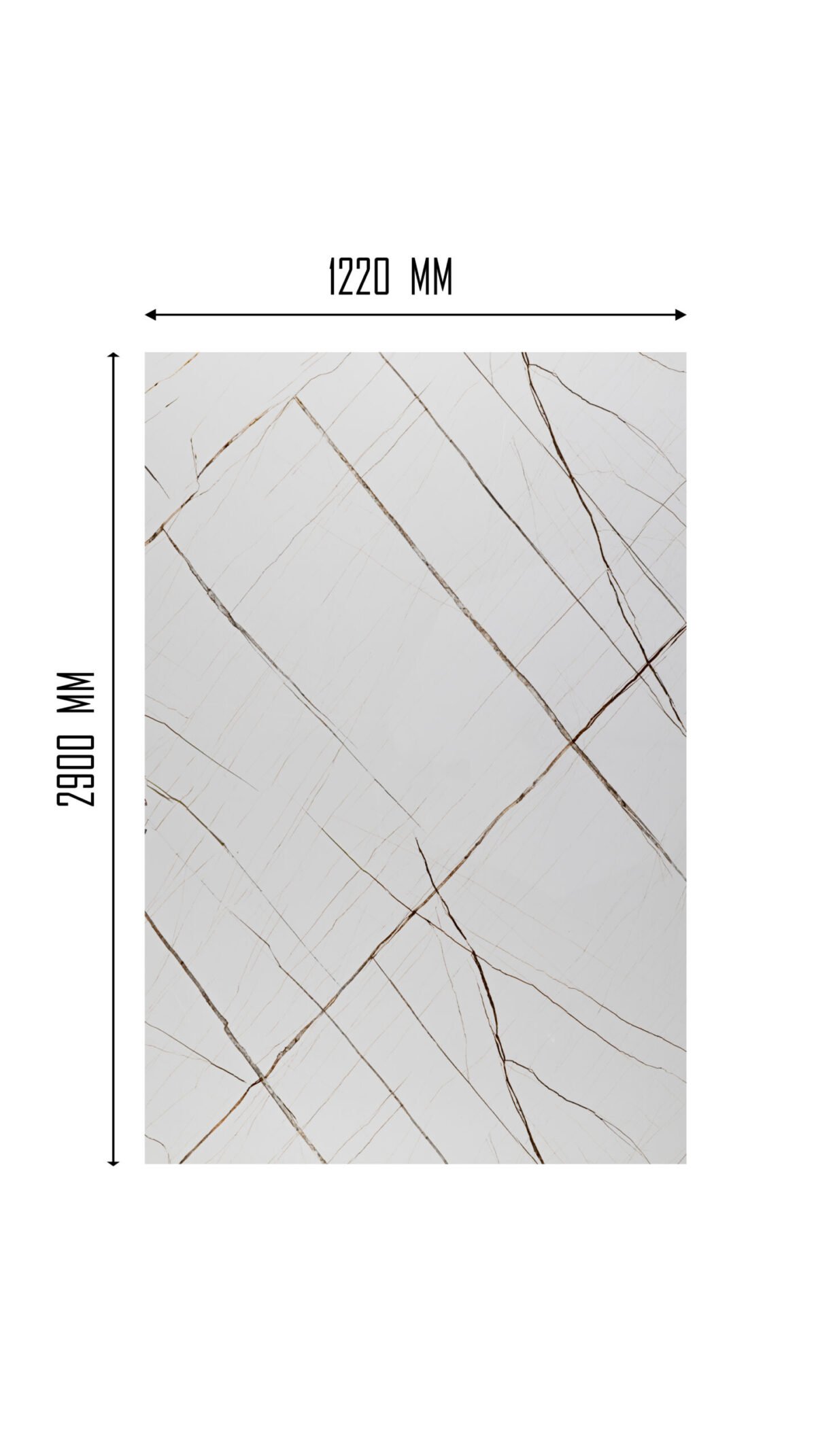 MS015 - Image 3