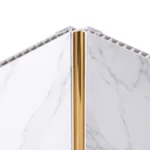 Internal Shower Trim Gold - Image 2